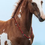 Collier Perles de Rythme Équin Personnalisé avec Texte Gravé Collier Accessoire de Clochettes pour Cheval Cadeau pour Amoureux de Cheval