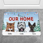 Personalized Snowfield Welcome To Our Home Door Mat Christmas Gift Birthday Gift for Pet Lovers