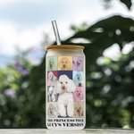Personalizzato Era Tour Poster Frosted Glass Tumbler 20oz Color Collage Photos Coffee Cup con Bamboo Lid Straw Birthday Gift for Fashionista Pet Lover