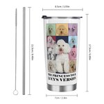 Gobelet personnalisé Eras Tour Style Poster 20oz avec couvercle et brosse de nettoyage pour paille Cadeau d'anniversaire et de Noël pour un ami ou un 