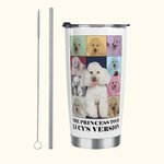 Gobelet personnalisé Eras Tour Style Poster 20oz avec couvercle et brosse de nettoyage pour paille Cadeau d'anniversaire et de Noël pour un ami ou un 