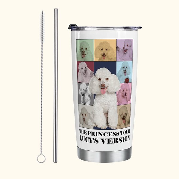 Gobelet personnalisé Eras Tour Style Poster 20oz avec couvercle et brosse de nettoyage pour paille Cadeau d'anniversaire et de Noël pour un ami ou un 