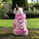 Spersonalizowany plakat Eras Tour Zdjęcia Kolaż Bluza z kapturem dla psa z imieniem Prezent urodzinowy na Boże Narodzenie dla właściciela miłośnika zwierząt