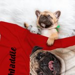 Personalised Pet Photo Name Soft Blanket Birthday Christmas Gift for Dog Puppy Cat