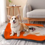 Personalised Pet Photo Name Soft Blanket Birthday Christmas Gift for Dog Puppy Cat