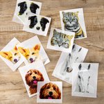 Gepersonaliseerde Peering Pet Portrait Photo Car Decal Sticker Grappig Schattig Dier Weerbestendig Raamdecoratie Auto Truck voor Dierenliefhebbers