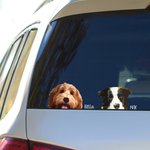 Gepersonaliseerde Peering Pet Portrait Photo Car Decal Sticker Grappig Schattig Dier Weerbestendig Raamdecoratie Auto Truck voor Dierenliefhebbers