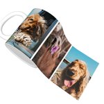 Tasse à Café Personnalisée avec Nom et Photo de Portrait d'Animaux Cadeau Commémoratif Anniversaire Noël pour Famille Amis