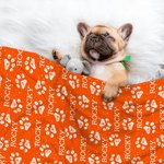 Personalizado lindo pata impresión suave manta con nombre cumpleaños regalo de Navidad para gato perro amante de las mascotas