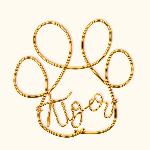 Personalized Pet Paw Print Wire Words Handmade Wall Art Decoration Pet Memorial Sign Christmas Birthday Gift for Pet Lover