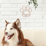 Personalized Pet Paw Print Wire Words Handmade Wall Art Decoration Pet Memorial Sign Christmas Birthday Gift for Pet Lover