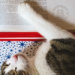 Personalised Cute Animal Dog Cat Book Embosser Embossing Stamp with Text Christmas Birthday Gift for Book Lovers