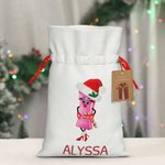Personalised Biscuit Boy Girl Gift Bag with Name Canvas Drawstring Bag Christmas Gift Wrap with Hanging Tag Holiday Party Gift for Family Biscuit Love