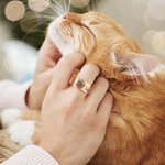 Personalisierte Haustier Foto Ring mit eingraviertem Text Haustier Verlust Schmuck Sympathie Jahrestag Geburtstag Geschenk für Tierliebhaber