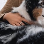 Personalisierte Haustier Foto Ring mit eingraviertem Text Haustier Verlust Schmuck Sympathie Jahrestag Geburtstag Geschenk für Tierliebhaber