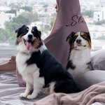 Manta con capucha personalizada con foto de mascota en acuarela, gorro y nombre Regalo de cumpleaños, Navidad y conmemoración para los amantes de las 
