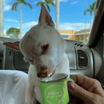 Tasse en céramique personnalisée Puppuccino Mug Pet Dog Gift 2.4oz 70ml