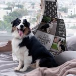 Personlig teppe med hette og navn til kjæledyr med hund og katt med fotocollage til kjæledyrelsker