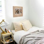 Personalised Pet Photo Canvas Painting Wall Decor with Text Memorial Gift for Pet Lover