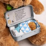 Personalised Mini Stuffed Buddy Bear in a Tin Worry Doll for Anti-anxiety Birthday Christmas Gift for Kids