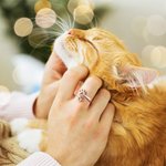 Personalisierter Pfote und Herz Ring mit Text Gravur Geburtstag Geschenk für Tierliebhaber Tierbesitzer