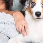 Personalisierter Pfote und Herz Ring mit Text Gravur Geburtstag Geschenk für Tierliebhaber Tierbesitzer