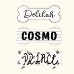 Personalized Bone Shaped Hanging Crate Sign with Dog Name Gift for Dog Lovers