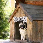 Personalized Bone Shaped Hanging Crate Sign with Dog Name Gift for Dog Lovers