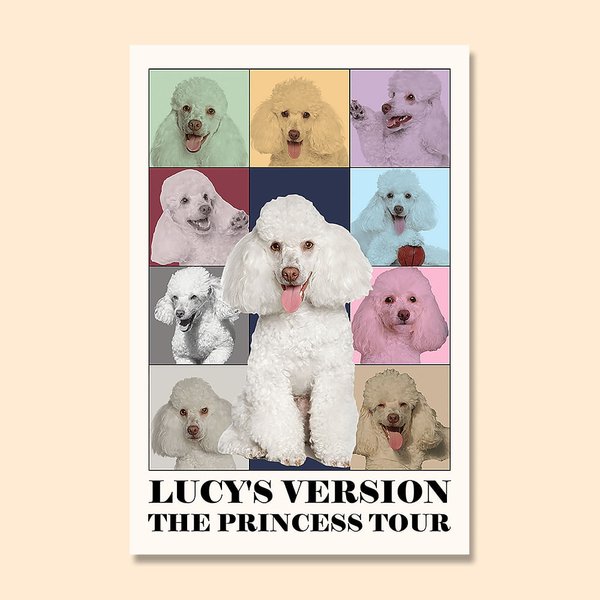 Personalised Era Tour Canvas Poster  Photo Collage Decorative Painting Retro Wall Art Birthday Anniversary Gift for Family Bestie Fashionista