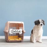 Personalized Bone Shaped Hanging Crate Sign with Dog Name Gift for Dog Lovers