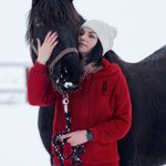 Felpa con cappuccio personalizzata con ritratto di cavallo e linee d'arte Regalo di compleanno per l'amante dei cavalli