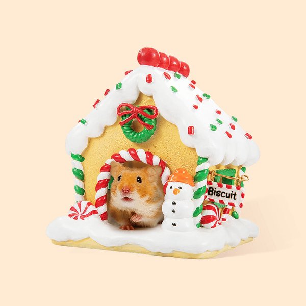 Personligt pepparkaksgömslehus för hamster med namn Julklapp till hamsterägare