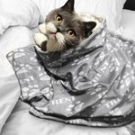 Personalizado lindo pata impresión suave manta con nombre cumpleaños regalo de Navidad para gato perro amante de las mascotas