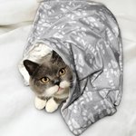 Personalizado lindo pata impresión suave manta con nombre cumpleaños regalo de Navidad para gato perro amante de las mascotas
