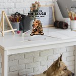 Henkilökohtainen Tämä on minun sohva Go Sit Over There Funny Pet Akryyli Plaque Housewarming lahja Home Decoration Kissa Koira Loverille