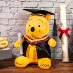 Personalized Classic Winnie the Pooh Graduation Bear Plush Toy with Name or School Badge Gifts for Grads