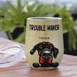 Personlig Trouble Maker vinbehållare med sugrör 12oz söt kaffekopp för husdjur födelsedagspresent för katt hundälskare