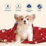 Couverture personnalisée multicolore avec nom pour animaux de compagnie Cadeau pour les amoureux des animaux