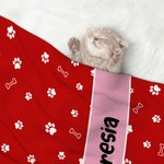 Couverture personnalisée multicolore avec nom pour animaux de compagnie Cadeau pour les amoureux des animaux
