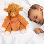 Personalised Stuffed Highland Cow Plush Toy with Name Baby Shower Birthday Gift for Baby Kids