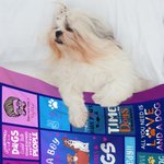 Personalised Just A Girl Who Loves Dogs Pet Throw Blanket with Name Soft & Warm Gift for Cat Dog Pet Lover Owner