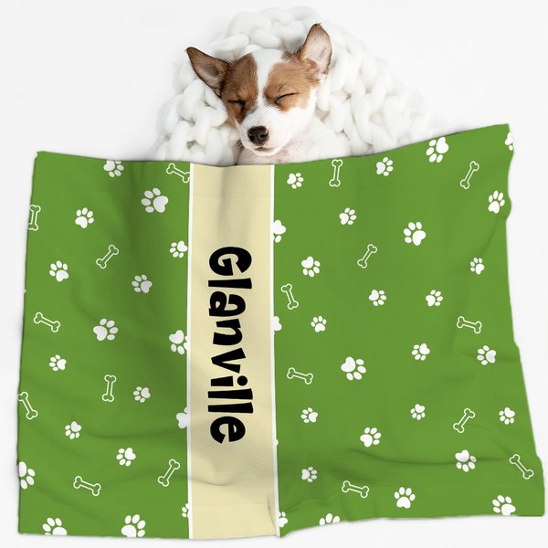 Couverture personnalisée multicolore avec nom pour animaux de compagnie Cadeau pour les amoureux des animaux