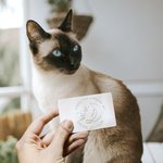 Tampon de Gaufrage Personnalisé avec Nom et Motif Chien ou Chat Style Lune et Étoiles Poignée Noire Cadeau Anniversaire pour Amateur de Lecture