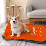 Coperta personalizzata per animali domestici con nome, morbida e calda per cani e gatti, regalo per chi ama gli animali.