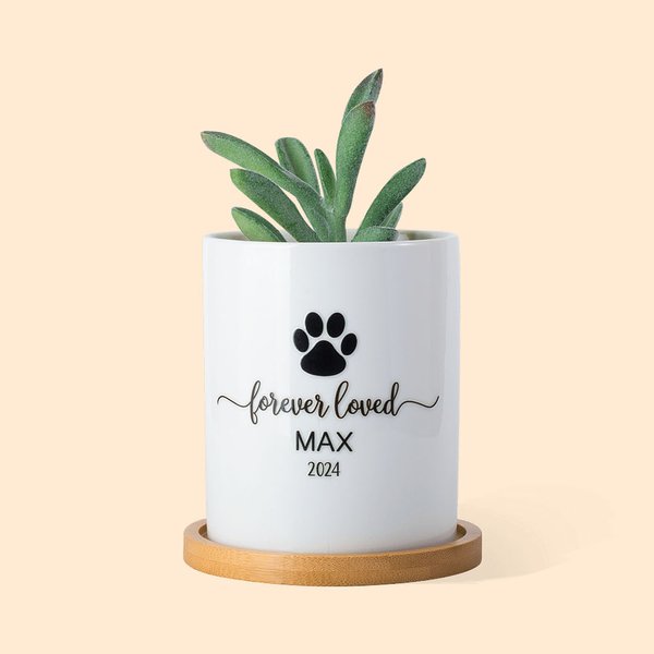 Personalized Pet Paw Memorial Ceramic Plant Pot with Wooden Base Pet Loss Sympathy Gift for Pet Lover