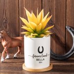 Personalized Pet Paw Memorial Ceramic Plant Pot with Wooden Base Pet Loss Sympathy Gift for Pet Lover