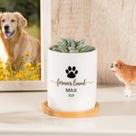 Personalized Pet Paw Memorial Ceramic Plant Pot with Wooden Base Pet Loss Sympathy Gift for Pet Lover