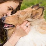 Bague Personnalisée avec Patte Nom Gravé Pierre de Naissance Cadeau pour Amoureux des Animaux de Compagnie