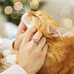 Bague Personnalisée avec Patte Nom Gravé Pierre de Naissance Cadeau pour Amoureux des Animaux de Compagnie