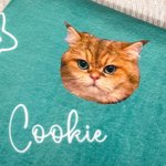 Gepersonaliseerde Multicolor Zachte Fleece Paw Icon Deken met 1-3 Foto's Verjaardagscadeau voor huisdierliefhebber